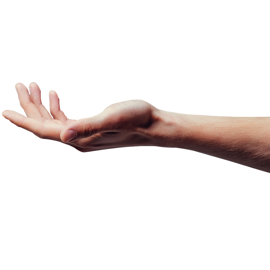 Human hand to represent having live support available