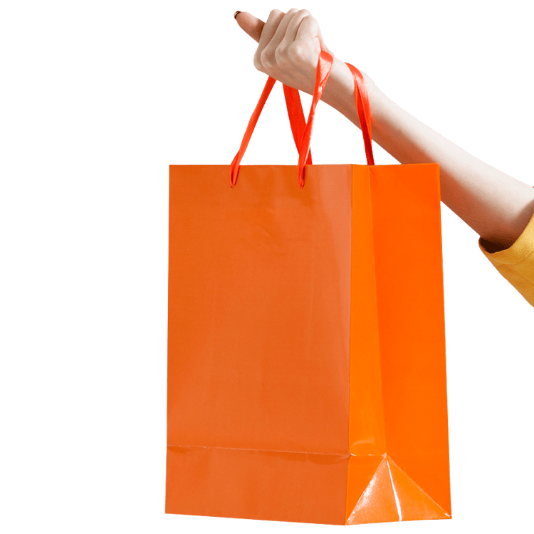 Shopping bag in hand representing sale of products